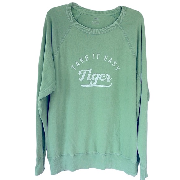 🆕aerie OVERSIZED DISTRESSED VINTAGE CREW GRAPHIC SWEATSHIRT - Picture 3 of 7